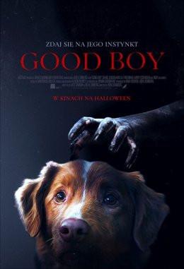 Świdnik Wydarzenie Film w kinie Good Boy
